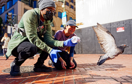 Destringing Pigeons