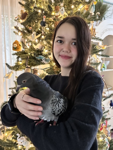 Kari (pigeon) and Reilly at Christmas time