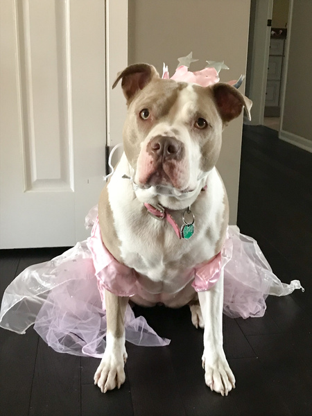 Princess Vaydah