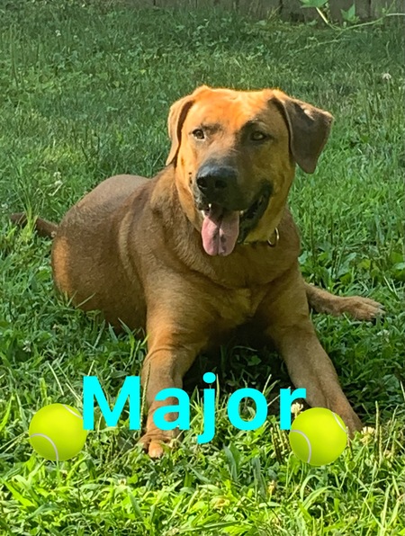 Major