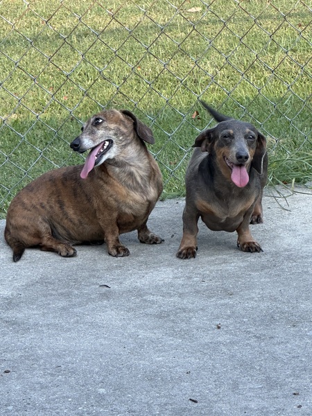 Ella and Zelda