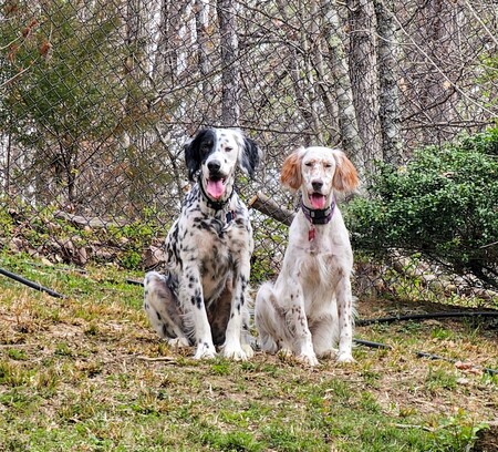 Logan and Lacey