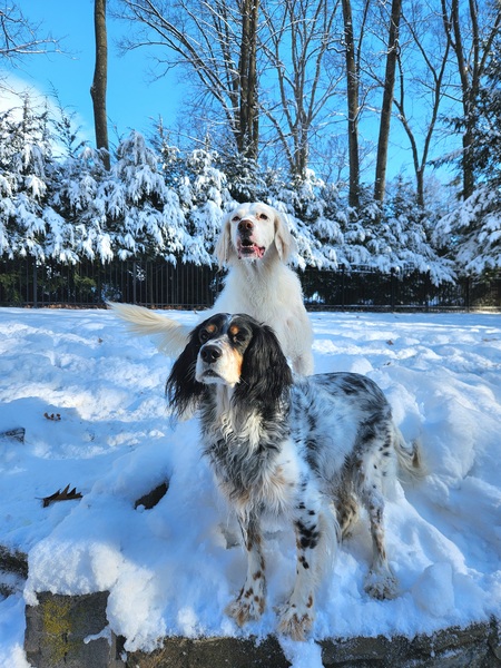 Molly and Caleb Ozlanski