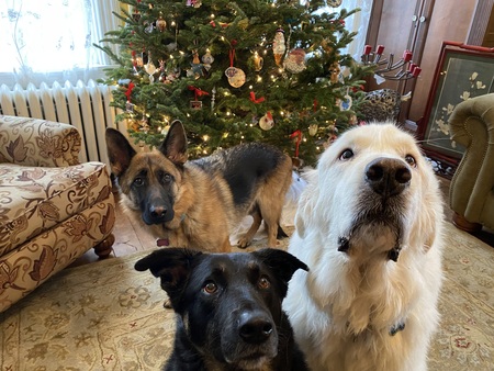 Zoey, Bo and Annie