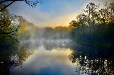 Morning Fog