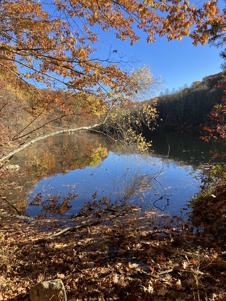 Autumn Reflection