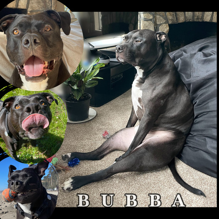 BUBBA 