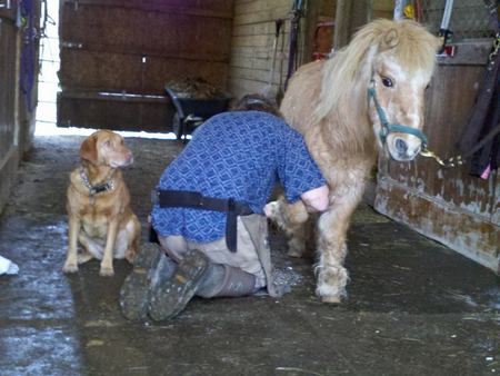 Trigger (pony) and Nan (dog)