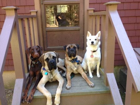 (L-R) Reilly, Tuukka, Looch, & Jessie