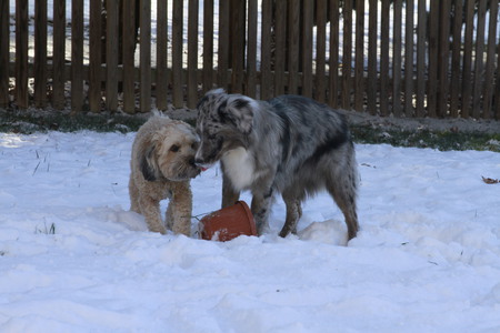 Zeke & Faith