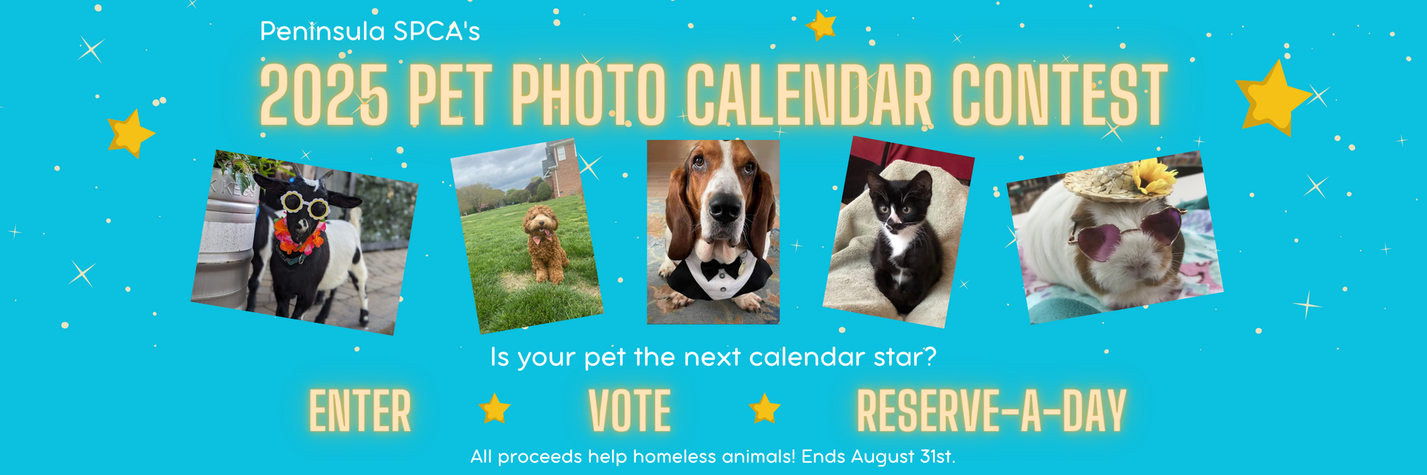 Spca 2025 Calendar Competition