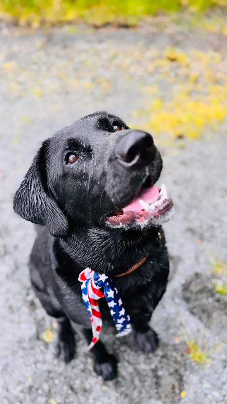 Skipper of Montana Creek