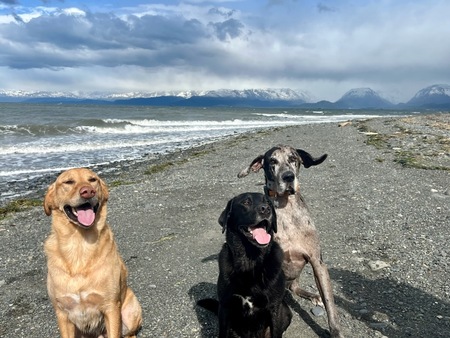 Ray, Atka, and Apollo