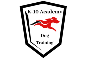 K10 Academy