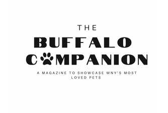 The Buffalo Companion