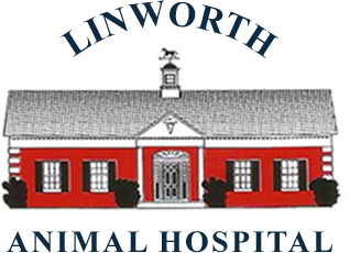 Linworth Animal Hospital