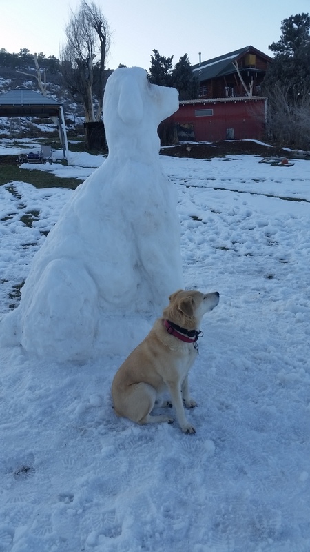 Kodah with snowdog