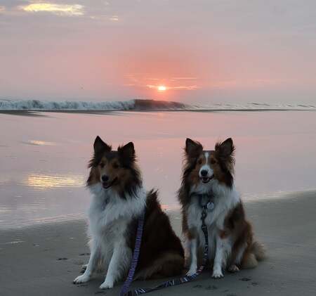 Willow and Rocco Reichwein