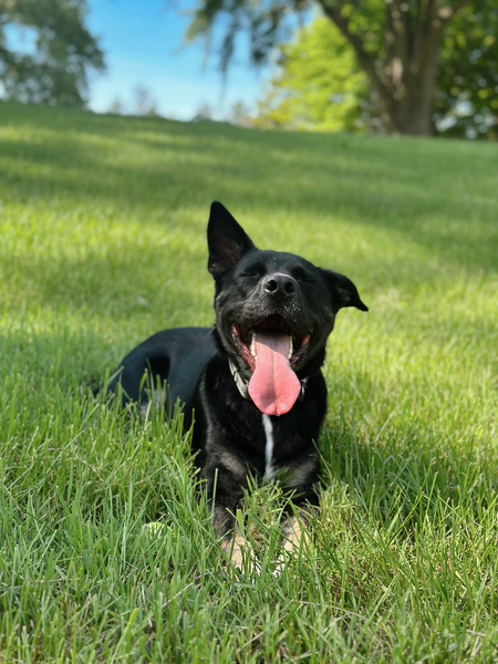 If you’re happy and you know it stick your tongue out 