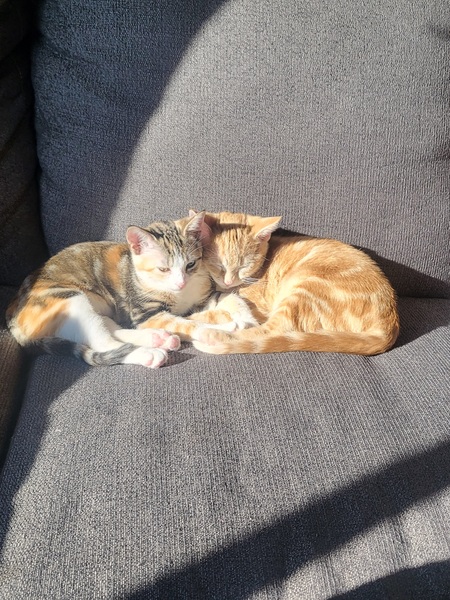 Sunshine cuddles