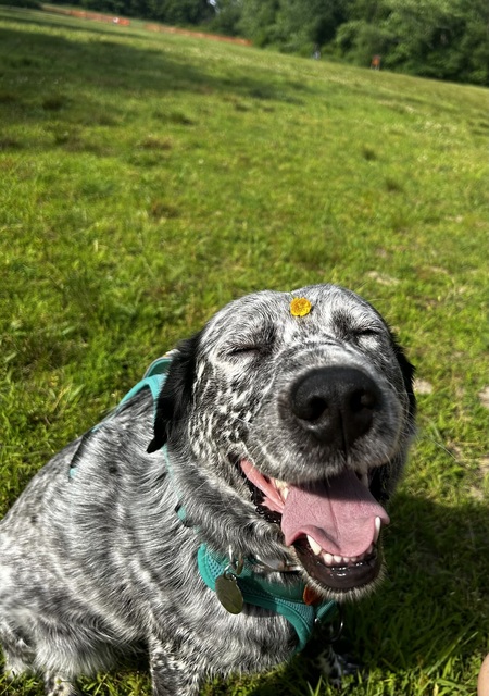 Always Take the Time to Stop and Wear the Flowers