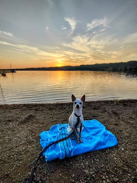 Enjoying the Sunset