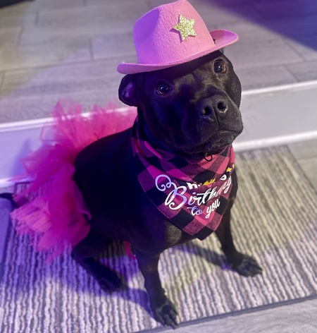 Sheriff Brandy