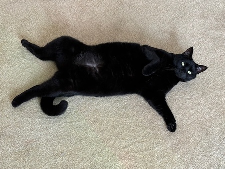 Autumn Relaxing On The Carpet