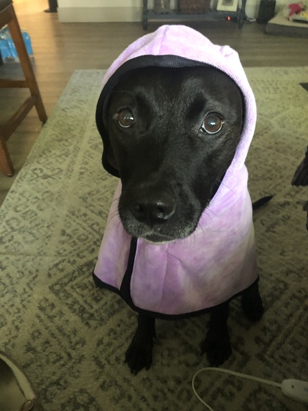 A Bath Seal named Jayde 