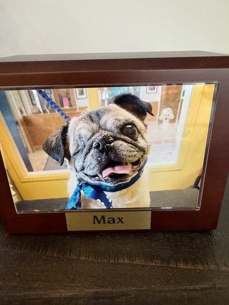 Max