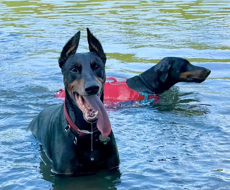 Ari (foreground) & Ava swimming