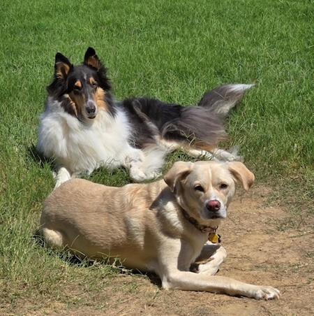 Gracie and Macie