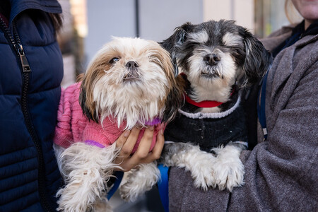 Turbo & Pebbles (Bonded Pair)