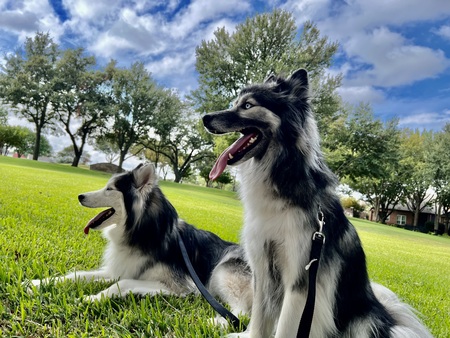 Bane and Stormi