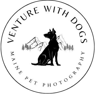 Venture With Dogs Pet Photography