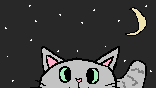 Kitty in the night