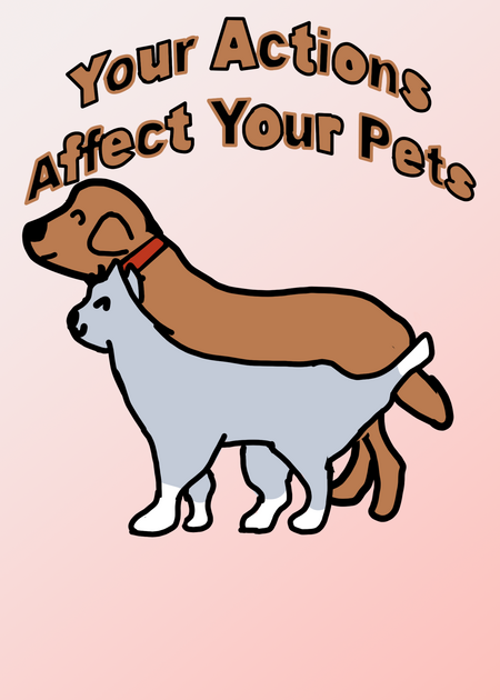 Your Actions Affect Your Pets