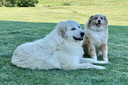 Claire and Gracie 