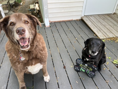 Lucy Socks and Lacy