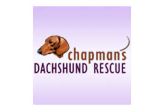 https://www.chapmansdox.com/