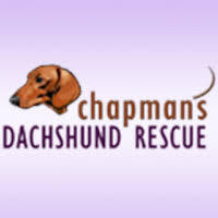 https://www.chapmansdox.com/