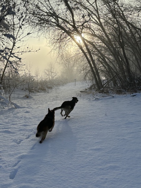 Henri and Sammie