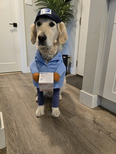 Brodie the Mail Pup