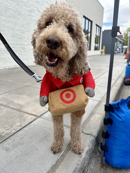 Dixie the Target Delivery Gal 