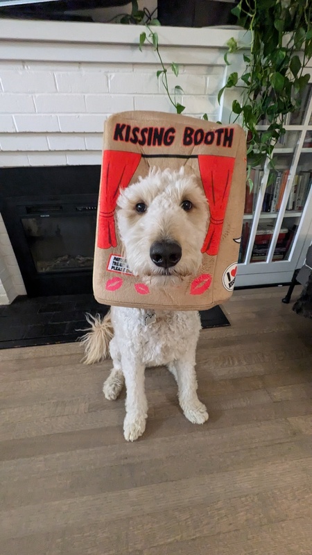 Penny, Kissing Booth