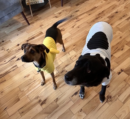 Rylie & Boone as Snoopy & Woodstock