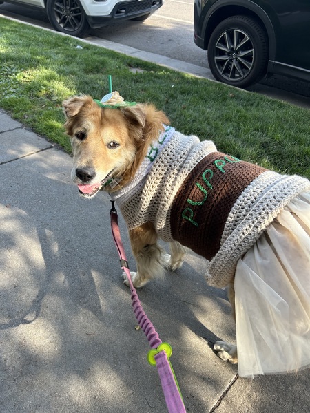 Bella: Puppuccino 