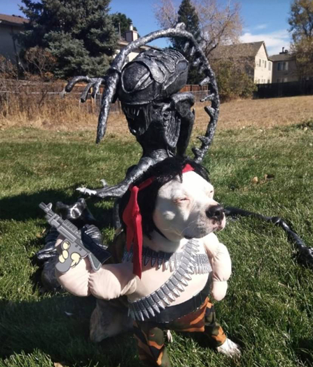 Dewey, Aka “Rambull” he’s a pittie dressed as Rambo w Roger the Alien. Behind him