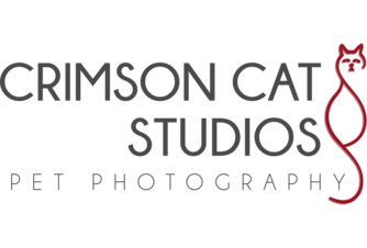 Crimson Cat Studios