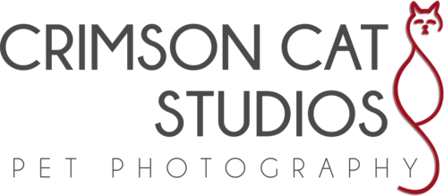 Crimson Cat Studios